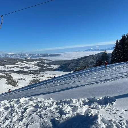 Baier *