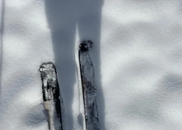 Baier Apartment Eggen